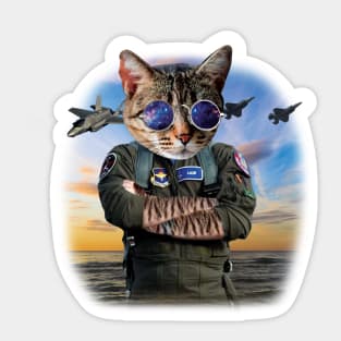 Funny Cat Airforce Pilot Gift F22 Raptor Pilot Sticker